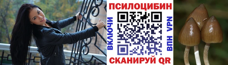 Галлюциногенные грибы Cubensis  где найти наркотики  Подольск 