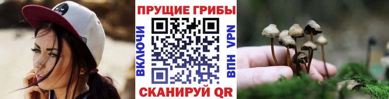 Псилоцибиновые грибы ЛСД Подольск