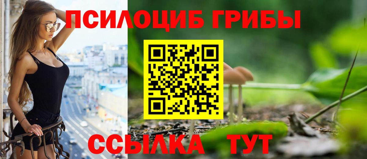 Подольск  Галлюциногенные грибы прущие грибы  Вход с VPN  наркота  Галлюциногенные грибы ЛСД 