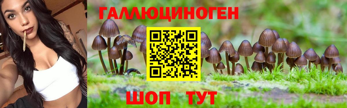 Псилоцибиновые грибы GOLDEN TEACHER Подольск