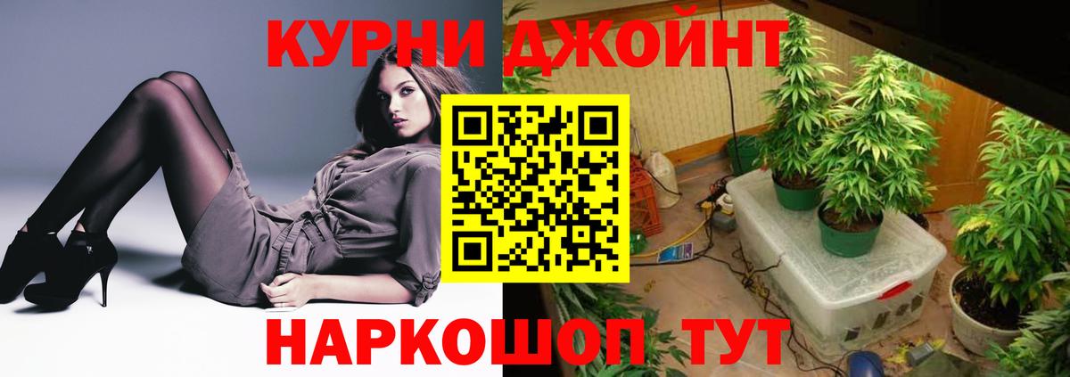 Шишки марихуана SATIVA & INDICA  Конопля тримм  Марихуана OG Kush  Вход с VPN  Подольск  Бошки марихуана марихуана 